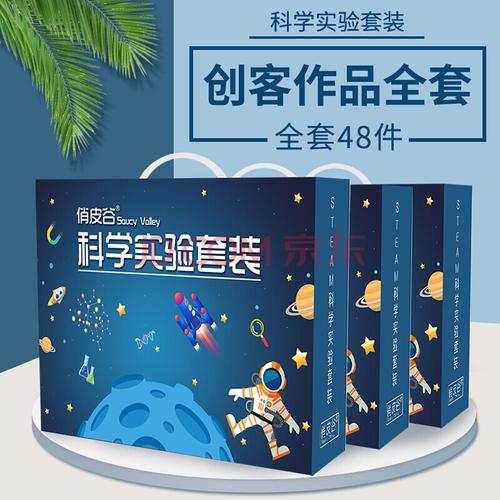 小學(xué)生科學(xué)實驗器材套裝玩具兒童手工盒子小制作全幼兒園禮物 創(chuàng)客